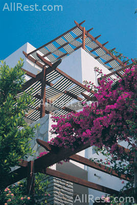 Dia Beach Club 11